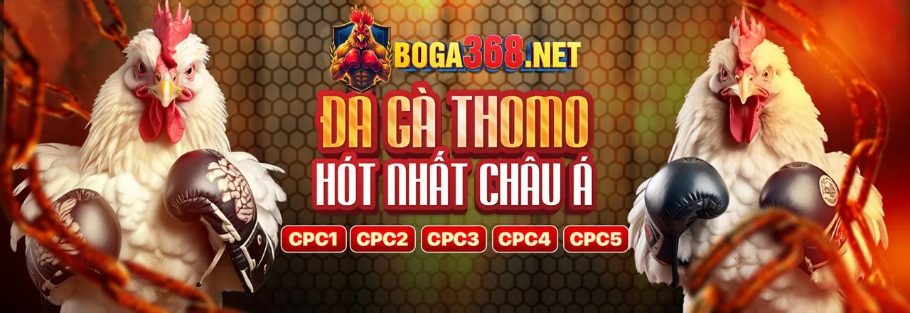 Tương lai cá cược trực tuyến u888b code