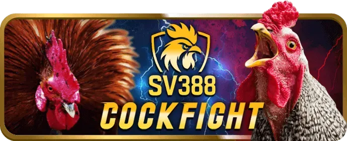 Banner khuyến mãi U888B Code
